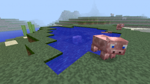 ../../_images/fill_pond.png